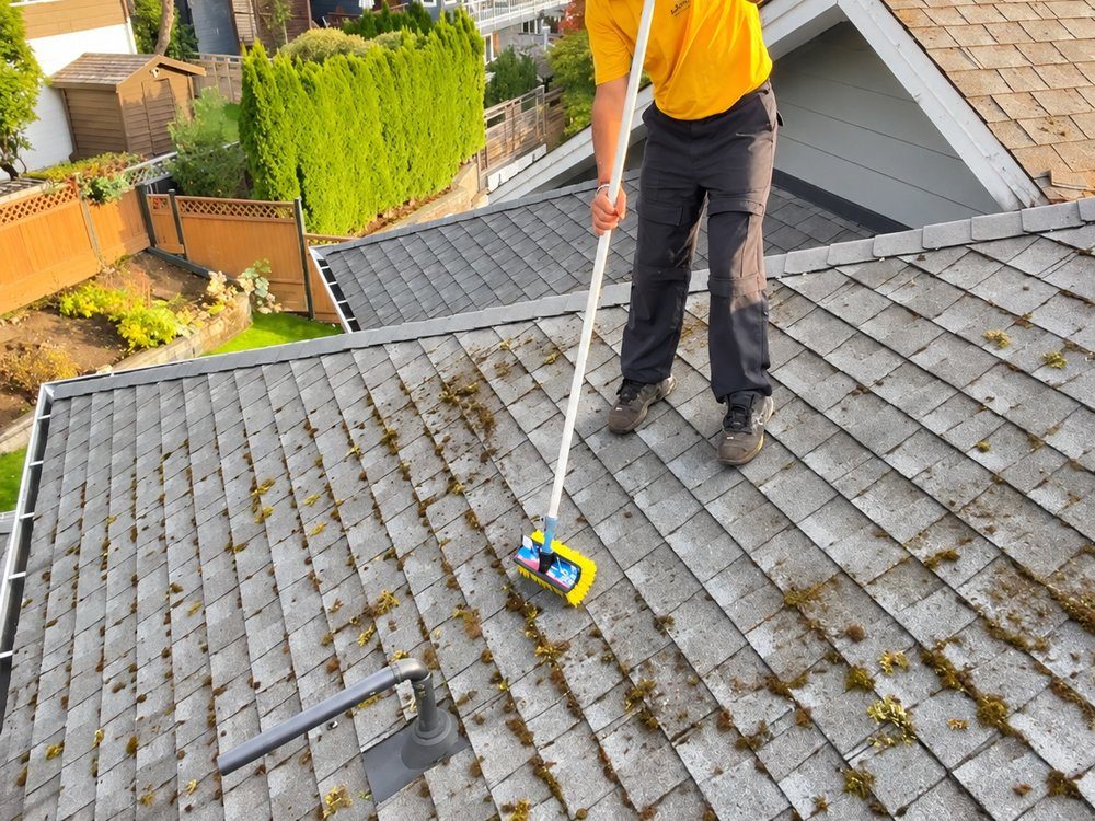 Mossy shingle roof before cleaning
